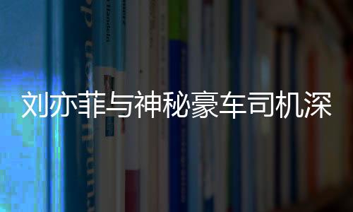 劉亦菲與神秘豪車司機深夜聚餐，事件解讀與深度分析