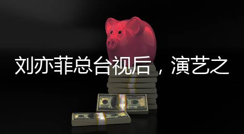 劉亦菲總臺視后，演藝之路的輝煌里程碑