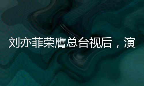 劉亦菲榮膺總臺(tái)視后，演技與美貌并存的一路榮光