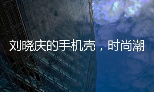 劉曉慶的手機殼，時尚潮流與個人品味的獨特展現(xiàn)