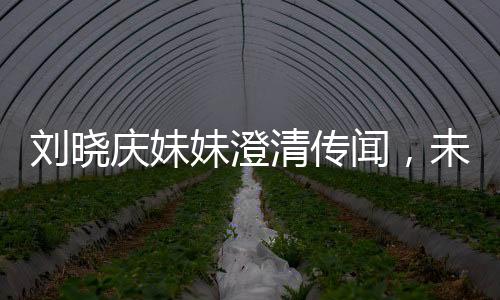 劉曉慶妹妹澄清傳聞，未卷走姐姐的財(cái)產(chǎn)