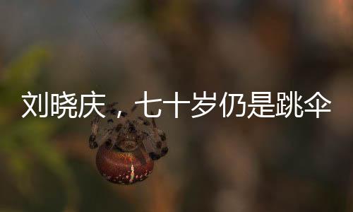 劉曉慶，七十歲仍是跳傘夢想啟航的絕佳時光