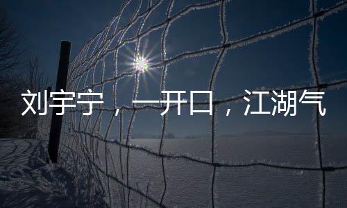劉宇寧，一開(kāi)口，江湖氣息撲面而來(lái)
