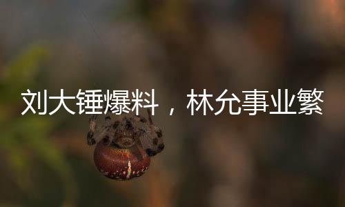 劉大錘爆料，林允事業(yè)繁忙，無(wú)暇顧及懷孕事宜