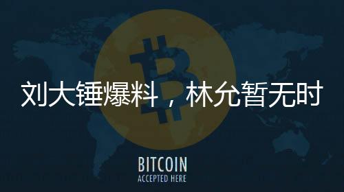 劉大錘爆料，林允暫無時間懷孕