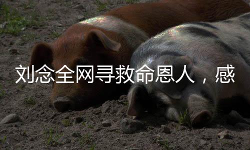 劉念全網(wǎng)尋救命恩人，感恩之心，跨越數(shù)字一二三四五六七八九十