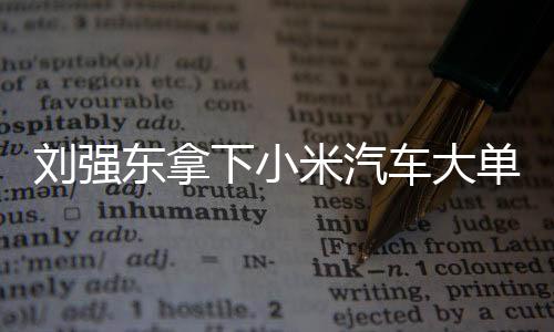劉強東拿下小米汽車大單，引領電商巨頭進軍汽車產(chǎn)業(yè)新篇章