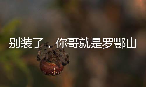 別裝了，你哥就是羅酆山鬼王。