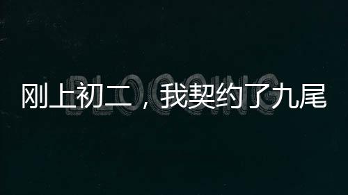 剛上初二，我契約了九尾妖狐