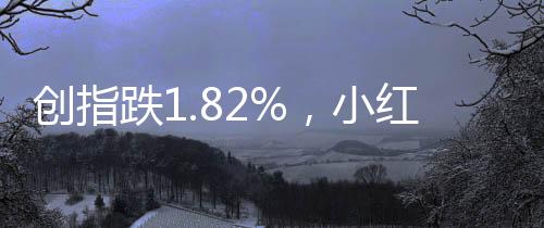 創(chuàng)指跌1.82%，小紅書概念股持續(xù)大漲——股市熱點解析