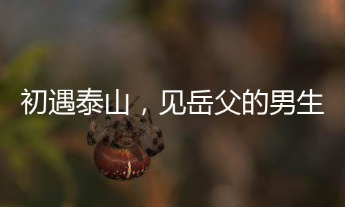 初遇泰山，見(jiàn)岳父的男生們開(kāi)始坐立不安