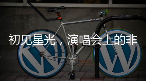 初見星光，演唱會(huì)上的非傳統(tǒng)演員尋覓之旅
