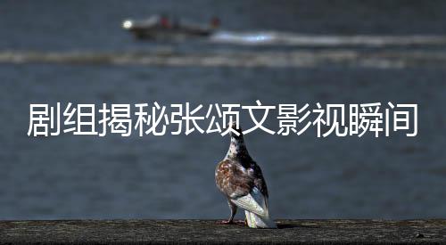 劇組揭秘張頌文影視瞬間，白花的消失背后的故事
