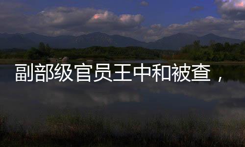 副部級官員王中和被查，反腐風暴再掀波瀾