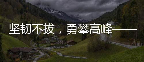 堅(jiān)韌不拔，勇攀高峰——記一位985女生五年十戰(zhàn)六級終上岸的奮斗歷程