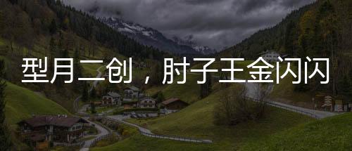 型月二創(chuàng)，肘子王金閃閃破防了