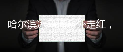 哈爾濱冰馬俑意外走紅，竟被游客盤成光頭——關(guān)于文化與互動的思考