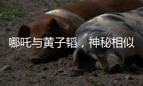 哪吒與黃子韜，神秘相似之處探討