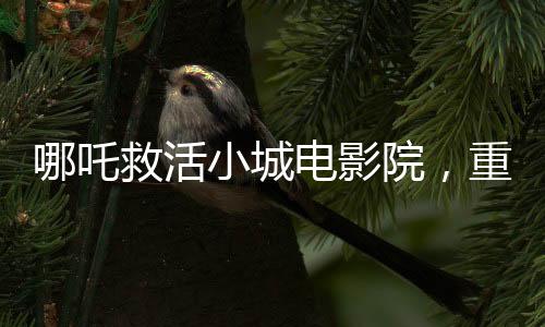 哪吒救活小城電影院，重生與復(fù)蘇的奇跡