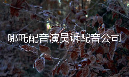 哪吒配音演員訴配音公司紛爭(zhēng)揭秘