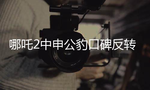 哪吒2中申公豹口碑反轉(zhuǎn)，深度探究角色魅力