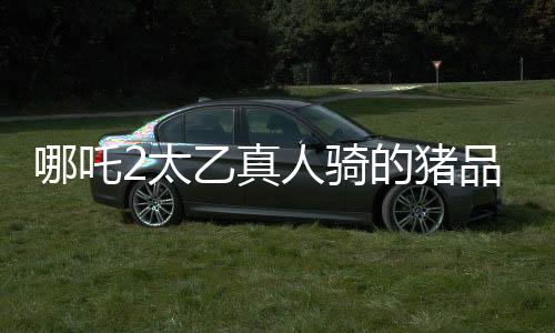 哪吒2太乙真人騎的豬品種揭秘，神秘生物引發(fā)影迷熱議