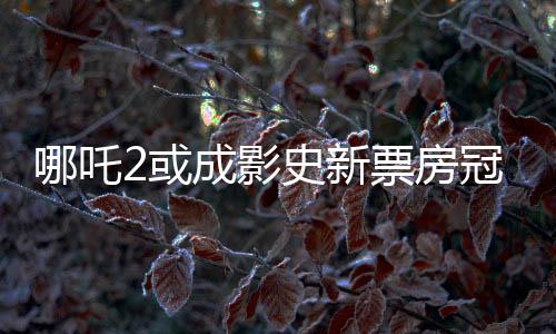 哪吒2或成影史新票房冠軍，揭秘其背后的成功之道