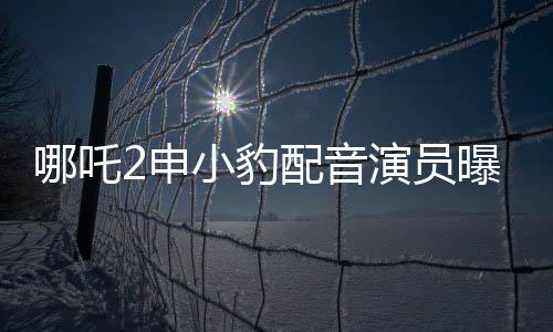 哪吒2申小豹配音演員曝光，新聲亮相備受矚目