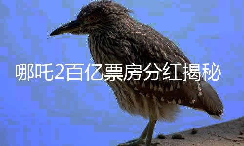 哪吒2百億票房分紅揭秘，一場影視盛宴下的利潤分配邏輯