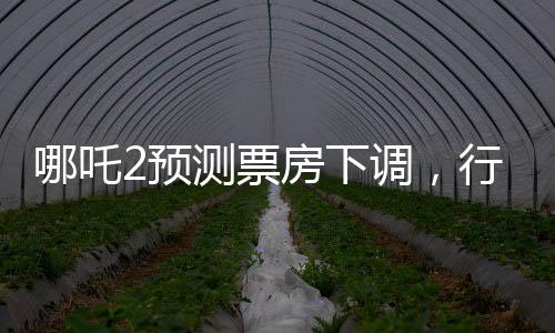 哪吒2預(yù)測票房下調(diào)，行業(yè)觀察與市場分析