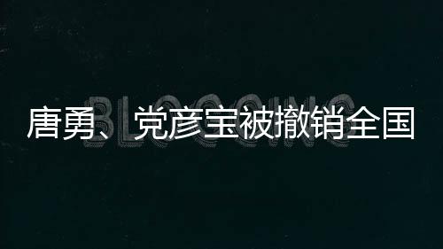 唐勇、黨彥寶被撤銷(xiāo)全國(guó)政協(xié)委員資格事件深度解析