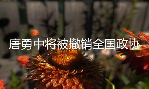 唐勇中將被撤銷全國(guó)政協(xié)委員資格事件分析