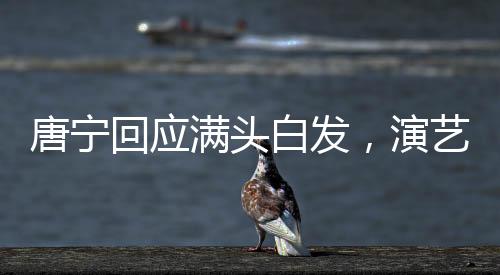 唐寧回應(yīng)滿頭白發(fā)，演藝界的銀發(fā)生魅現(xiàn)象探討
