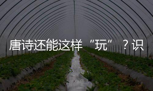 唐詩還能這樣“玩”？識字教育也可“詩意滿滿”！