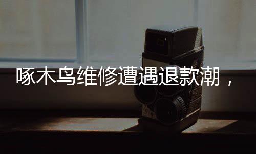 啄木鳥維修遭遇退款潮，透視服務質量與消費者權益保護問題