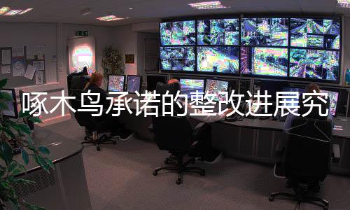 啄木鳥承諾的整改進展究竟如何？