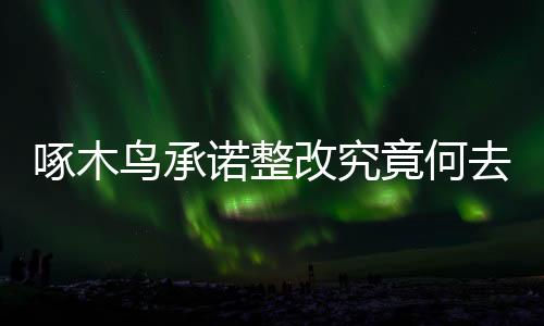 啄木鳥承諾整改究竟何去何從？揭秘背后的故事