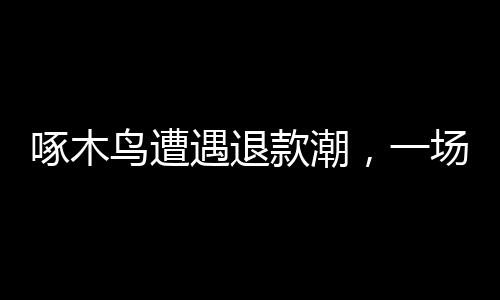 啄木鳥遭遇退款潮，一場意外危機(jī)引發(fā)的反思