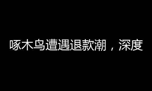 啄木鳥(niǎo)遭遇退款潮，深度探究背后的原因