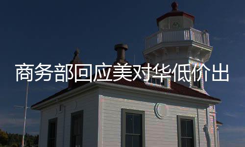 商務(wù)部回應(yīng)美對華低價(jià)出口芯片事件，維護(hù)市場公平競爭秩序