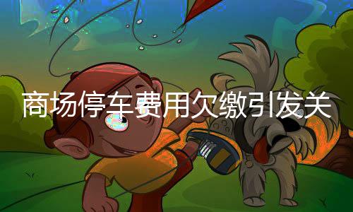 商場停車費用欠繳引發(fā)關(guān)注，停車欠費達2.4萬