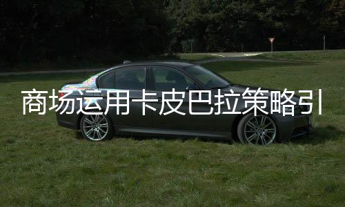 商場(chǎng)運(yùn)用卡皮巴拉策略引流，創(chuàng)新營(yíng)銷手段揭秘