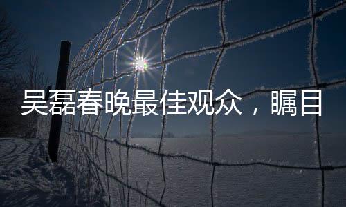 吳磊春晚最佳觀眾，矚目之處展現(xiàn)深度欣賞力