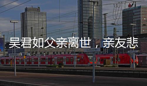 吳君如父親離世，親友悲痛悼念