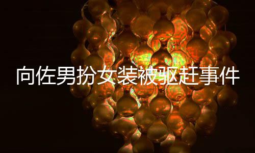 向佐男扮女裝被驅趕事件全程解析