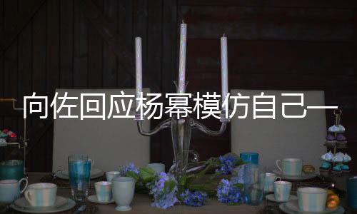 向佐回應楊冪模仿自己——引發(fā)關(guān)注與熱議