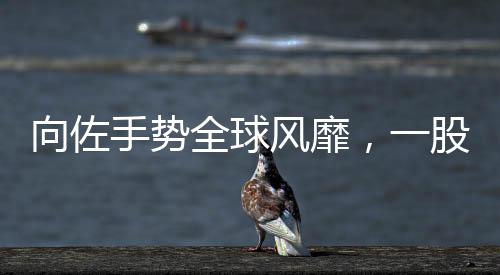 向佐手勢全球風(fēng)靡，一股新的文化潮流誕生
