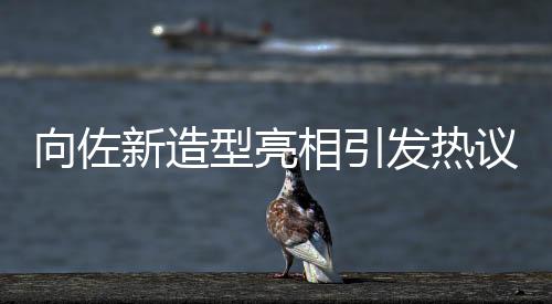 向佐新造型亮相引發(fā)熱議，網(wǎng)友戲稱佐姐潮流新風(fēng)尚