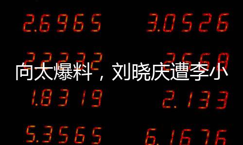 向太爆料，劉曉慶遭李小冉激烈訓斥長達十分鐘——一場不為人知的紛爭內幕