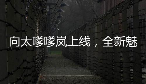 向太嗲嗲嵐上線，全新魅力展現(xiàn)，引領時尚潮流